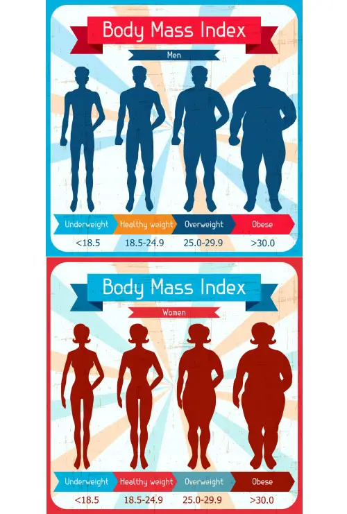 body-mass-index