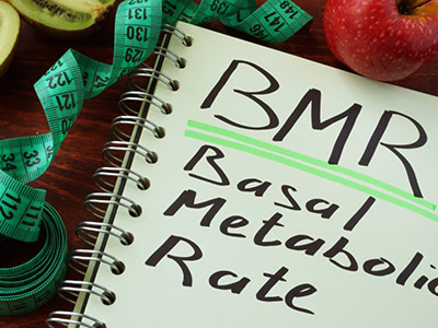 Basal-Metabolic-Rate